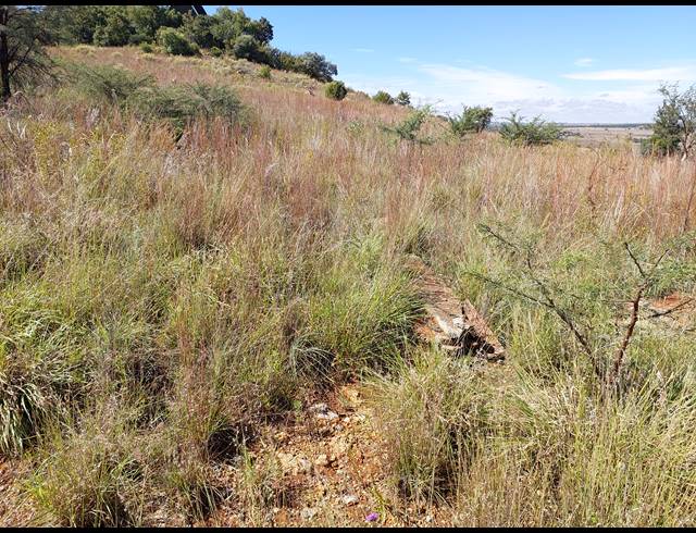 899M² VACANT LAND FOR SALE IN VAALOEWER